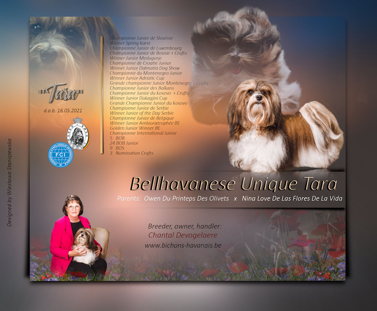 1300 pixls montage photos Wieslawa pour junior champion Tara