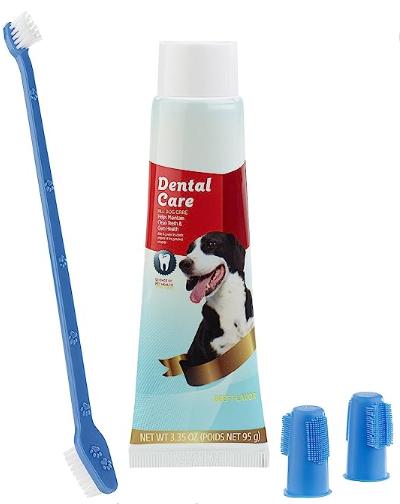 dentifrice et brosse à dent chien1