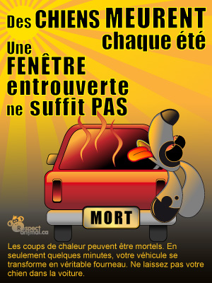 chaleur voiture 2e4fdf09e5ddbe7d68b021f0fe2c6e68