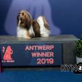 Nina BOB & Antwerp Winner 2019