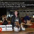 Nina Juste 15 mois Wallonia Dog Show 