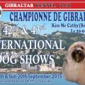 Gibraltar  Bella Championne à 22 mois 