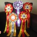 Rosettes 