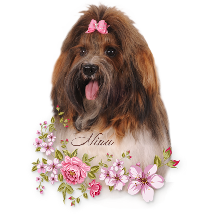 2 nina 1 an pour site avec fleurs 400x436