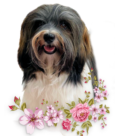 photo 2 Tess 10 mois en png avec fleurs 