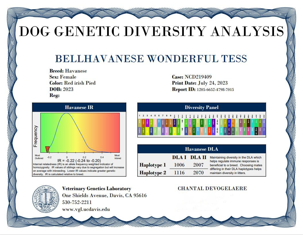 diversité genetique tess sans adresse